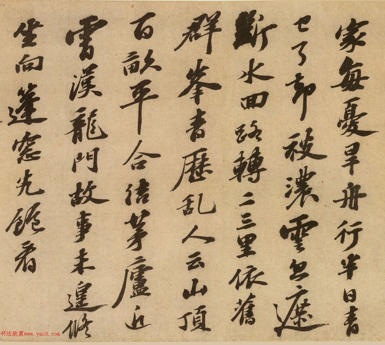 顶ɽǾ
