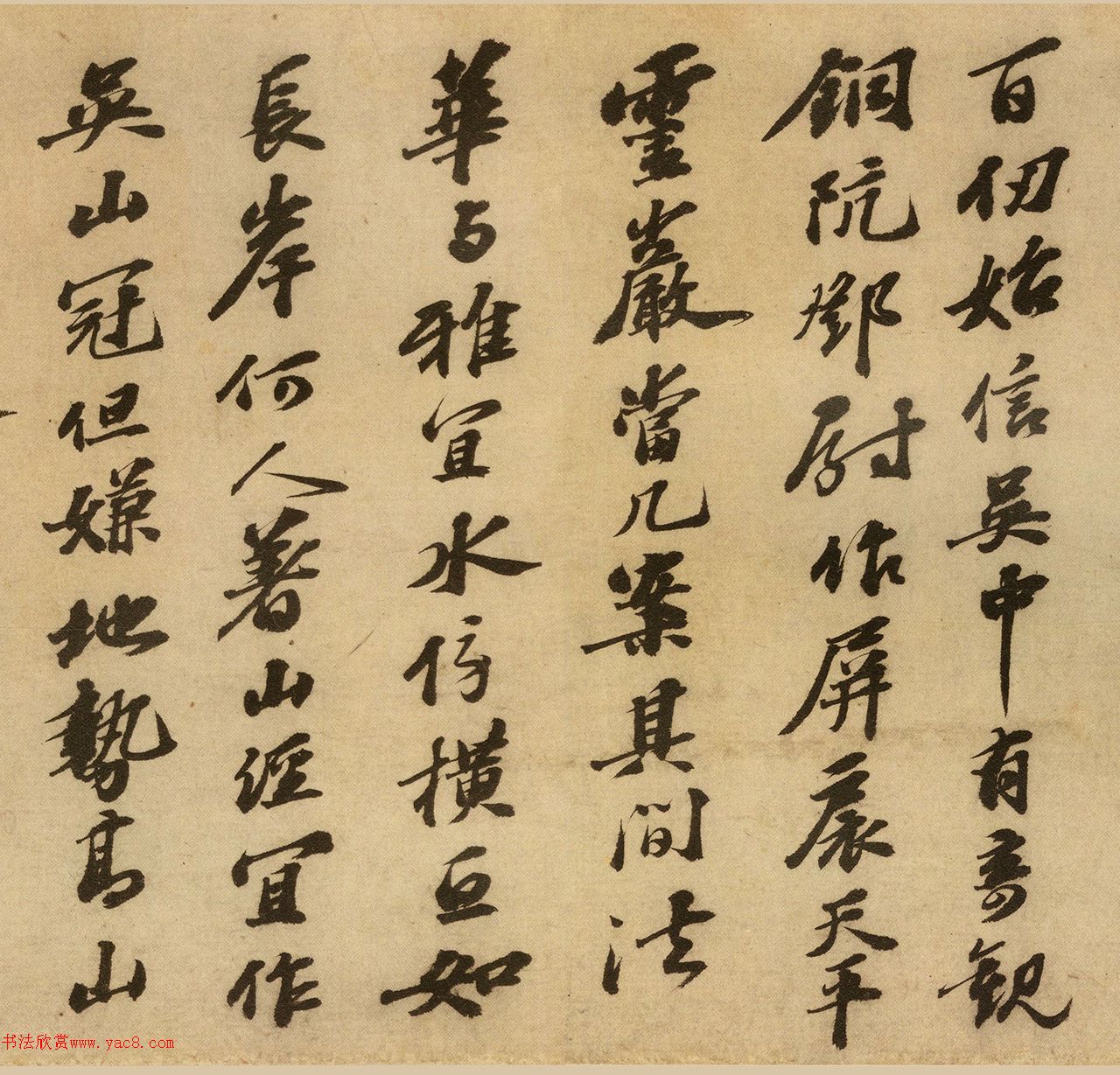 顶ɽǾ