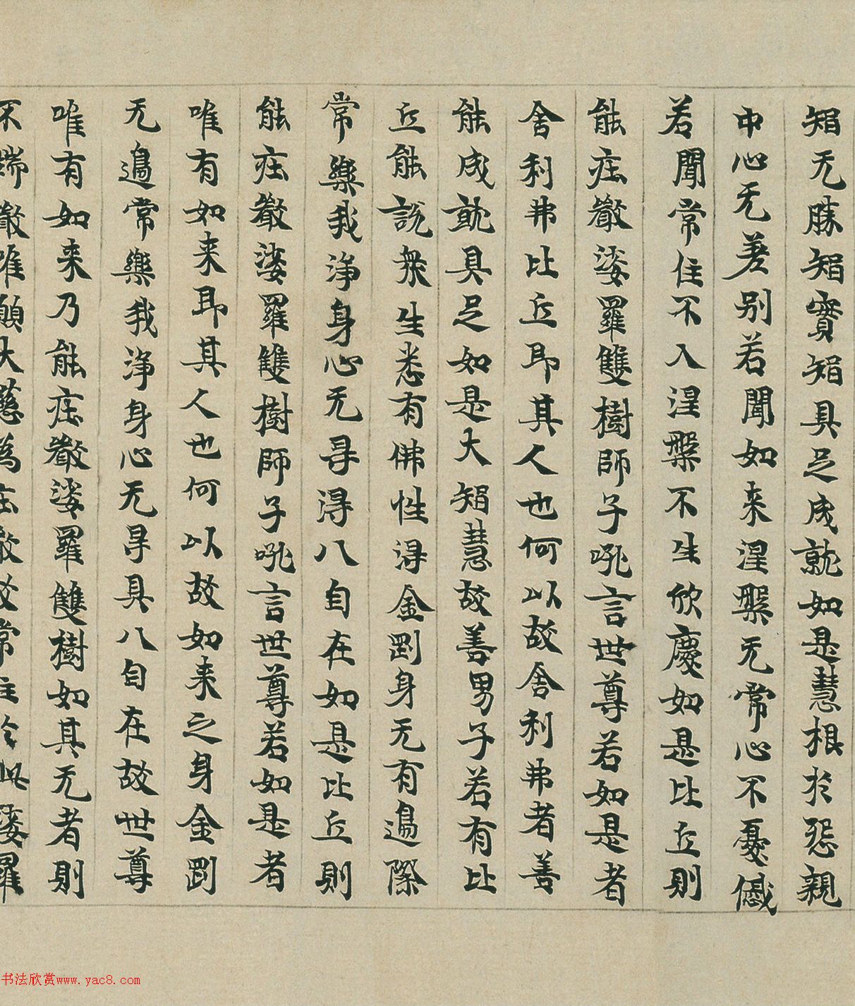 顶Pئ