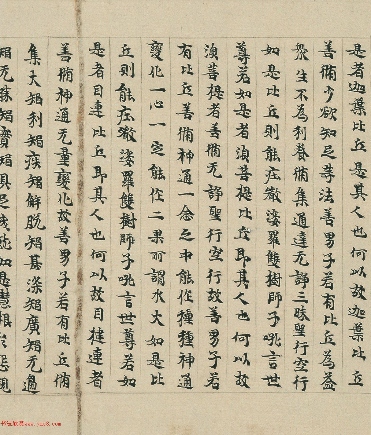 顶Pئ