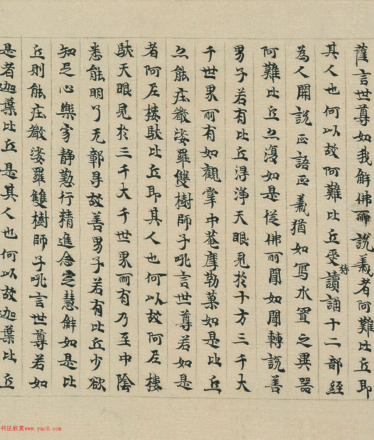 顶Pئ