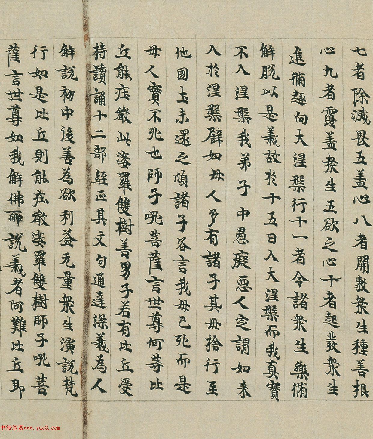 顶Pئ