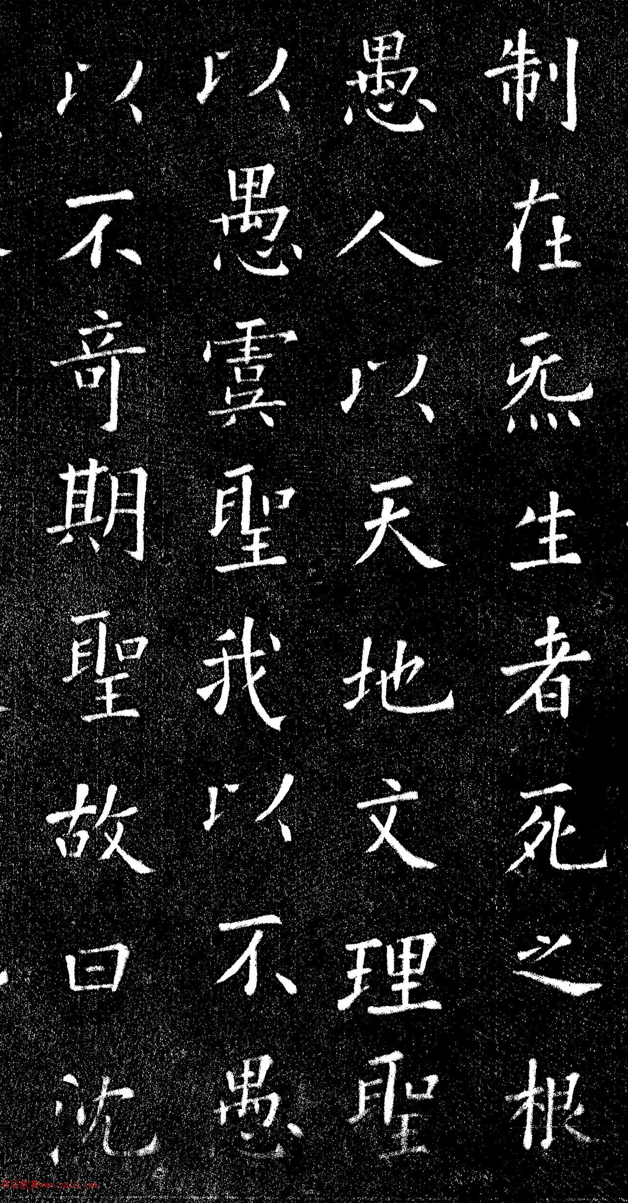 ŷѯп屾
