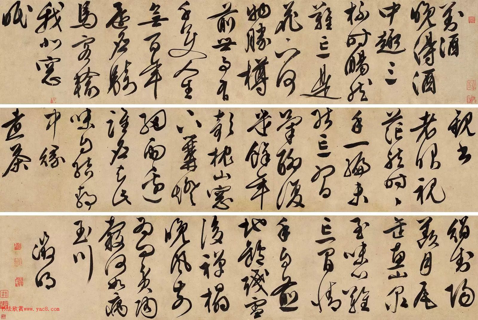 顶Ծơ顢衷׾