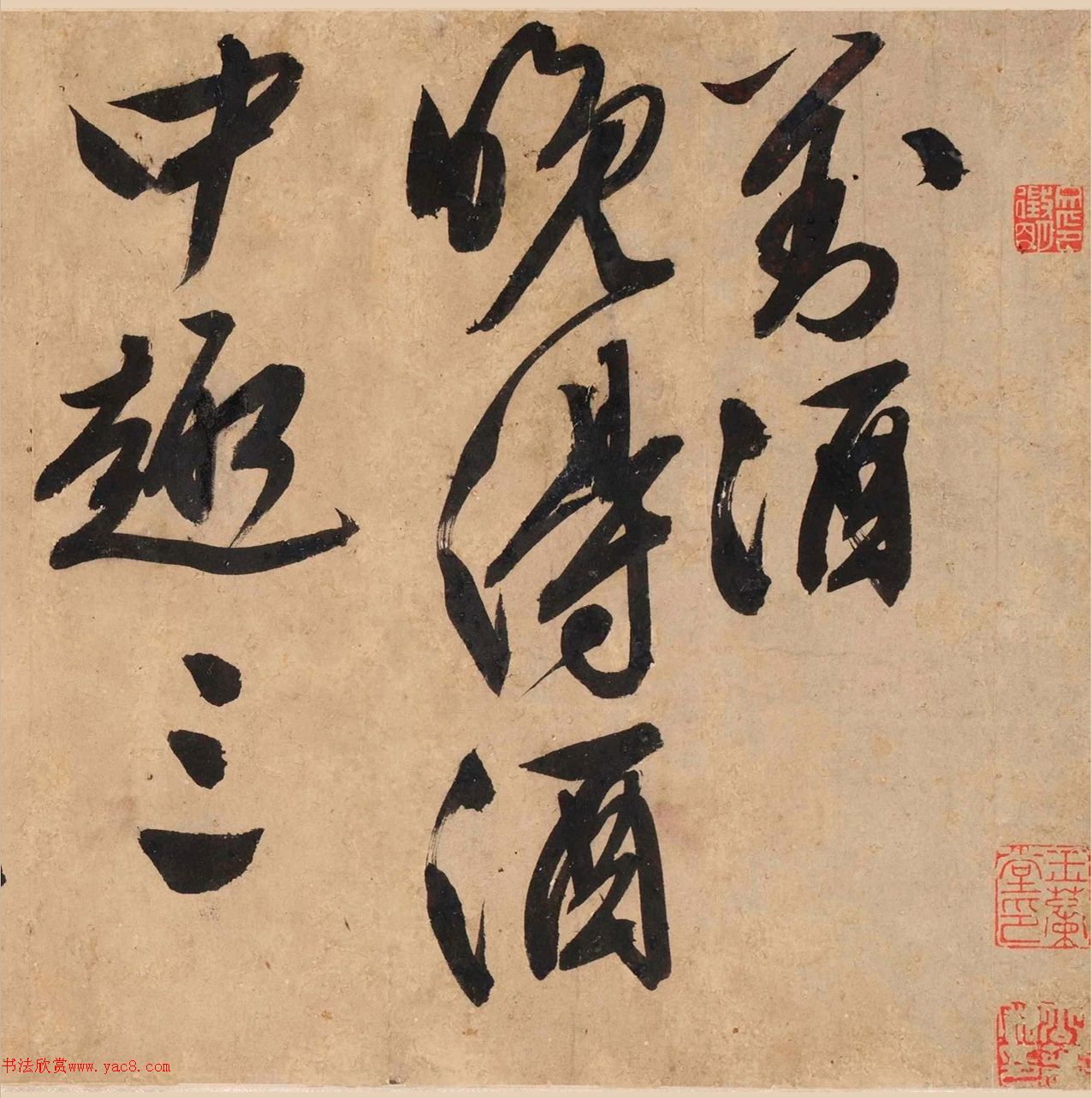顶Ծơ顢衷׾