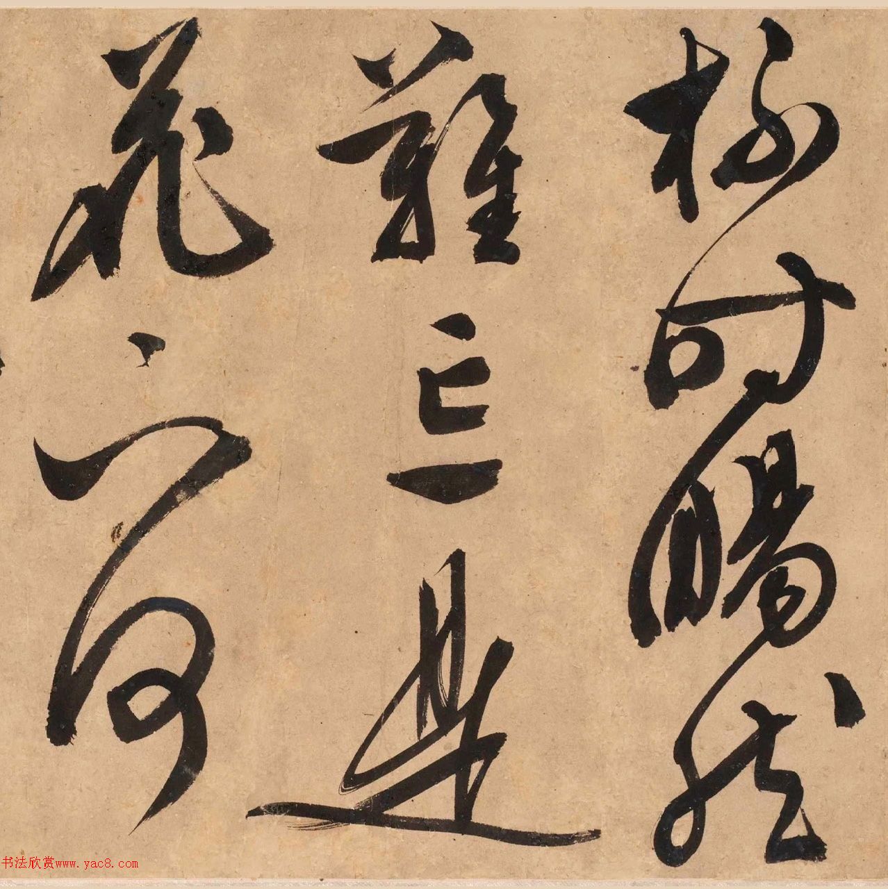 顶Ծơ顢衷׾