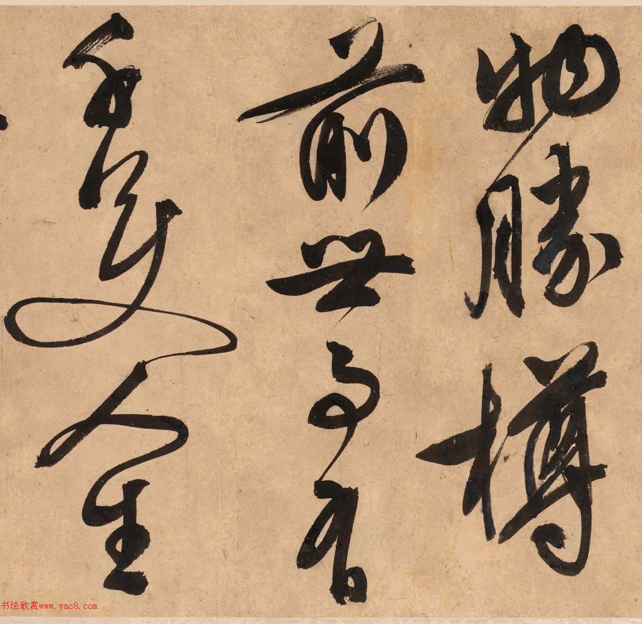 顶Ծơ顢衷׾