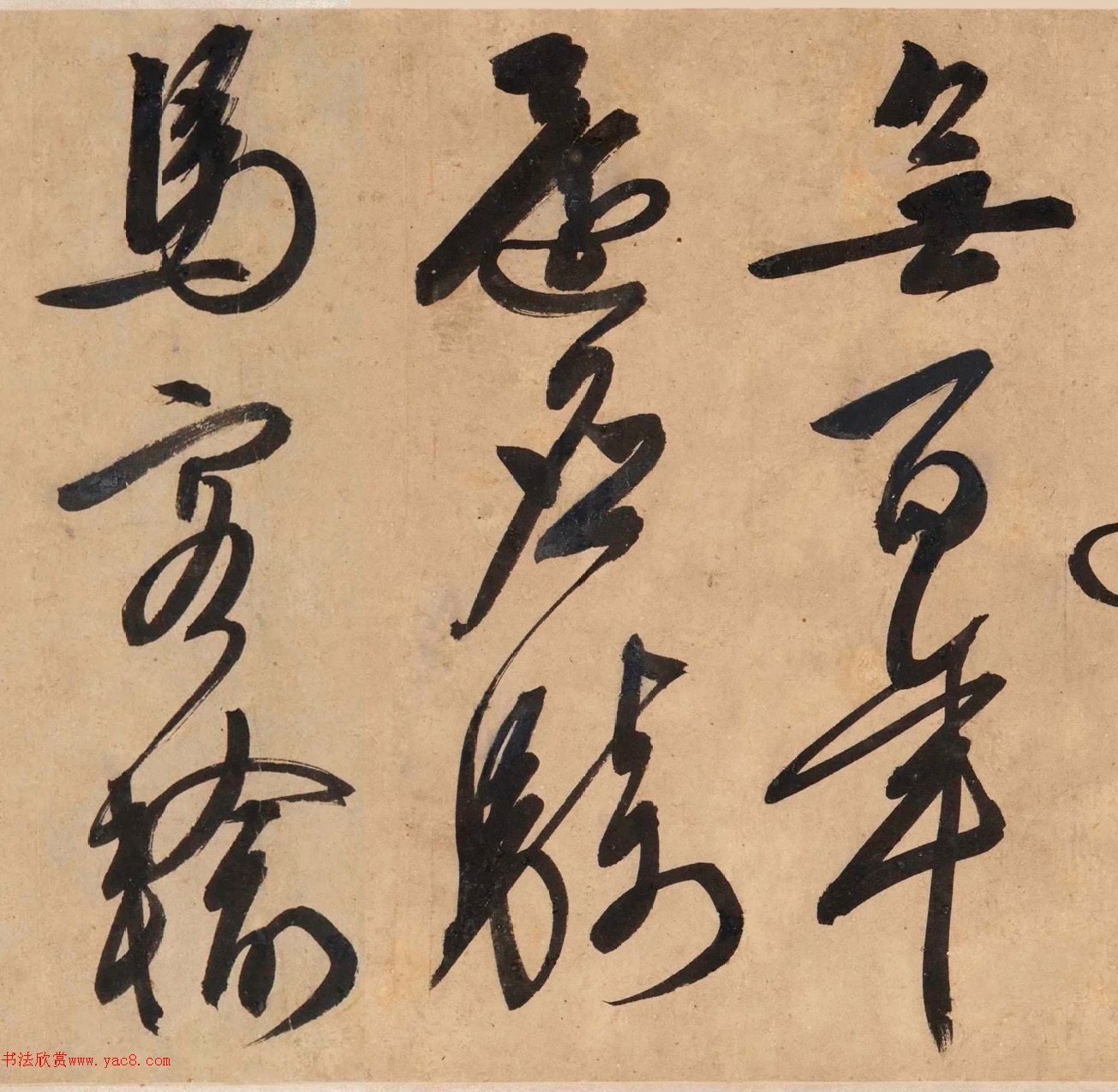 顶Ծơ顢衷׾