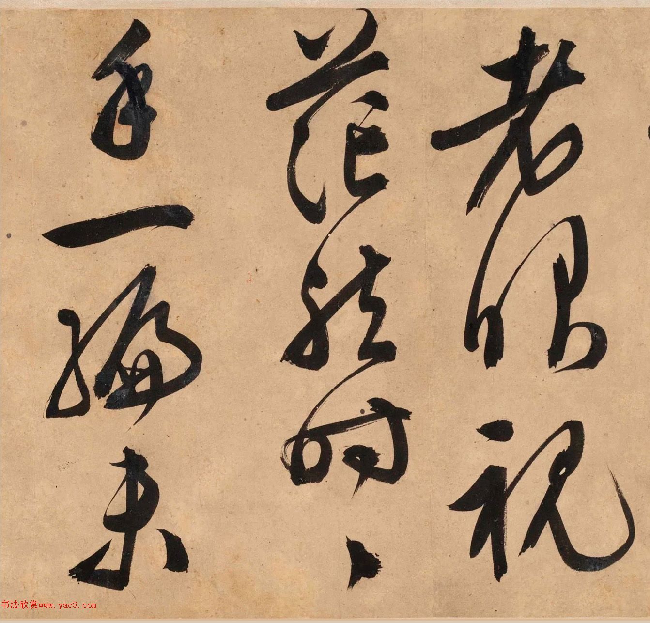 顶Ծơ顢衷׾