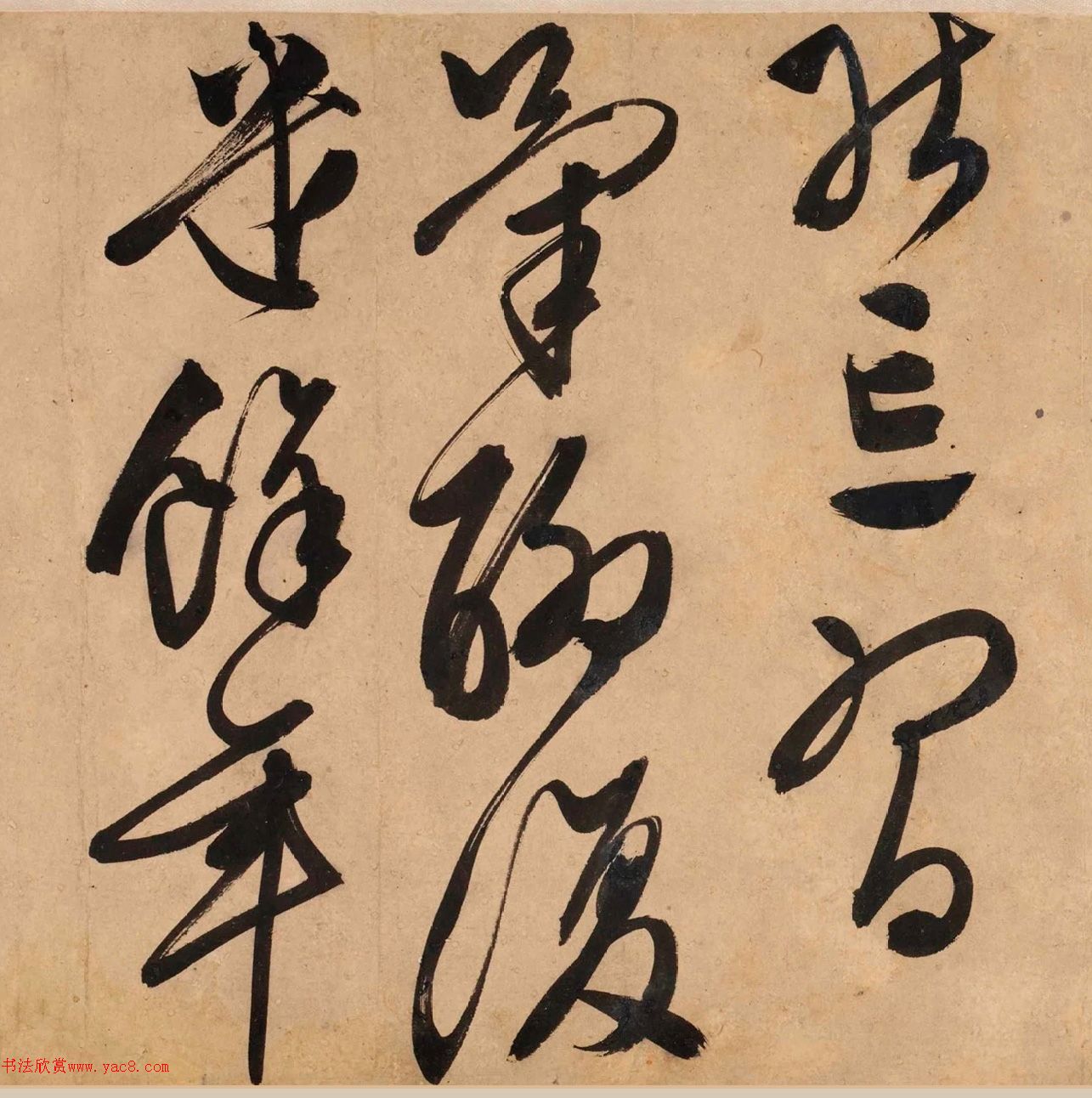 顶Ծơ顢衷׾