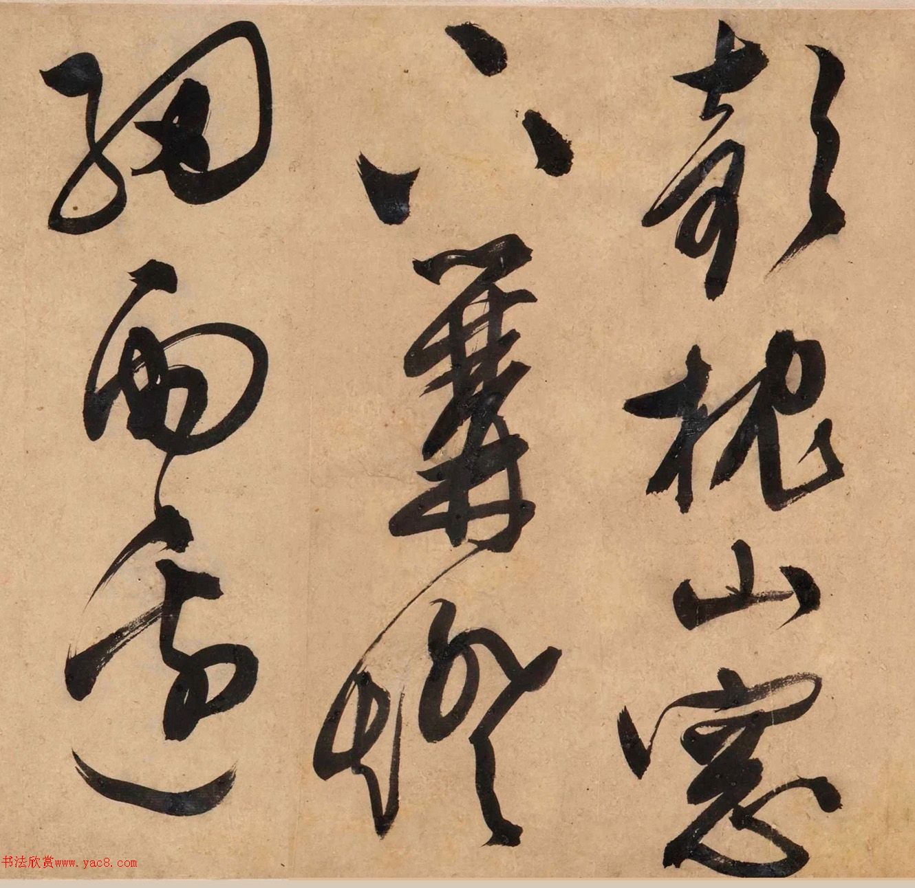 顶Ծơ顢衷׾