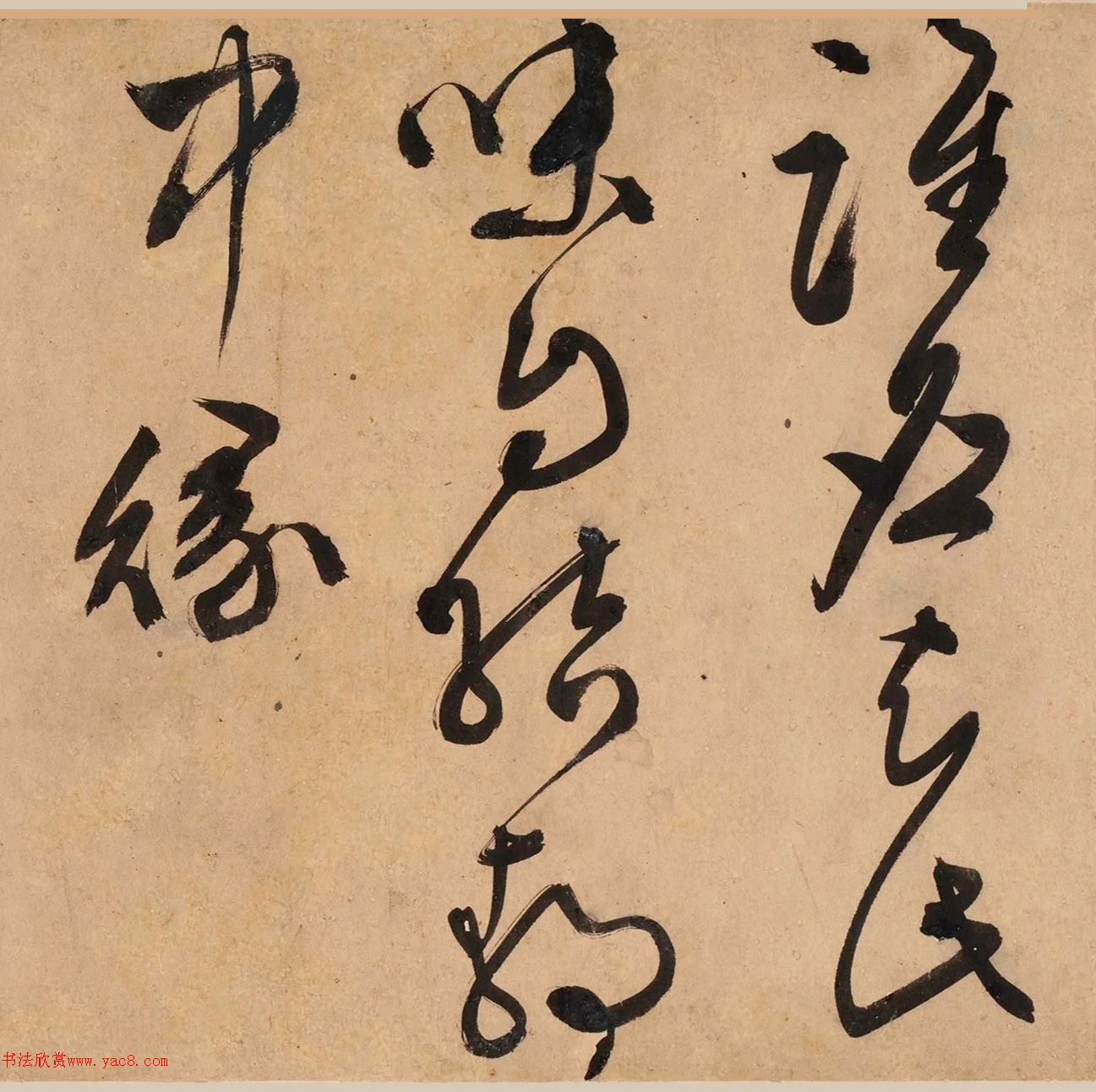 顶Ծơ顢衷׾