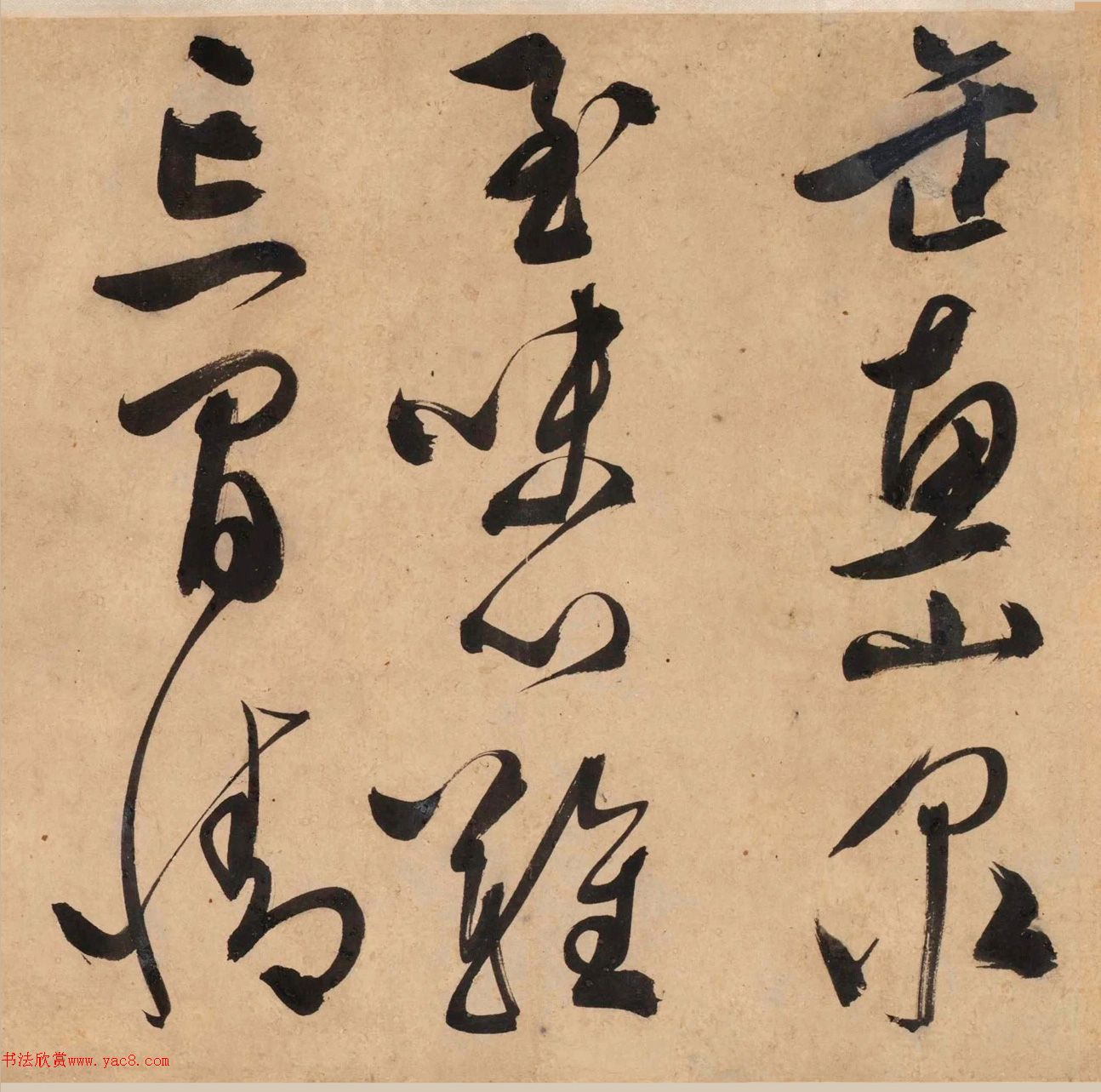 顶Ծơ顢衷׾