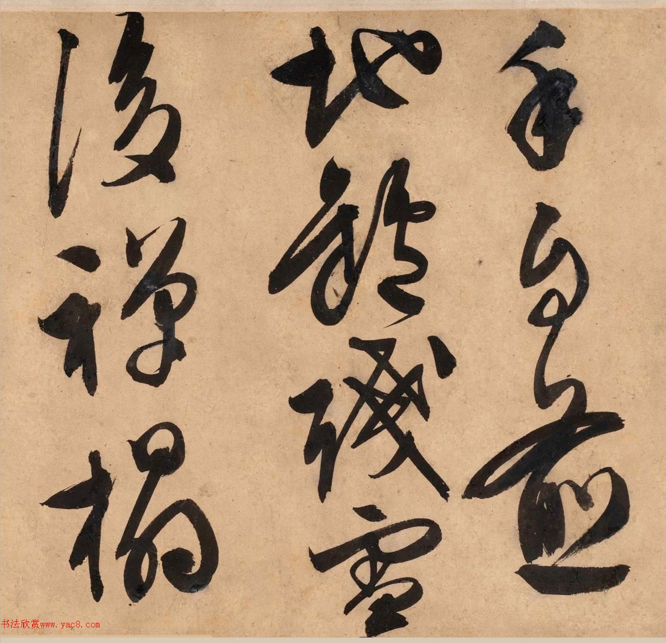 顶Ծơ顢衷׾
