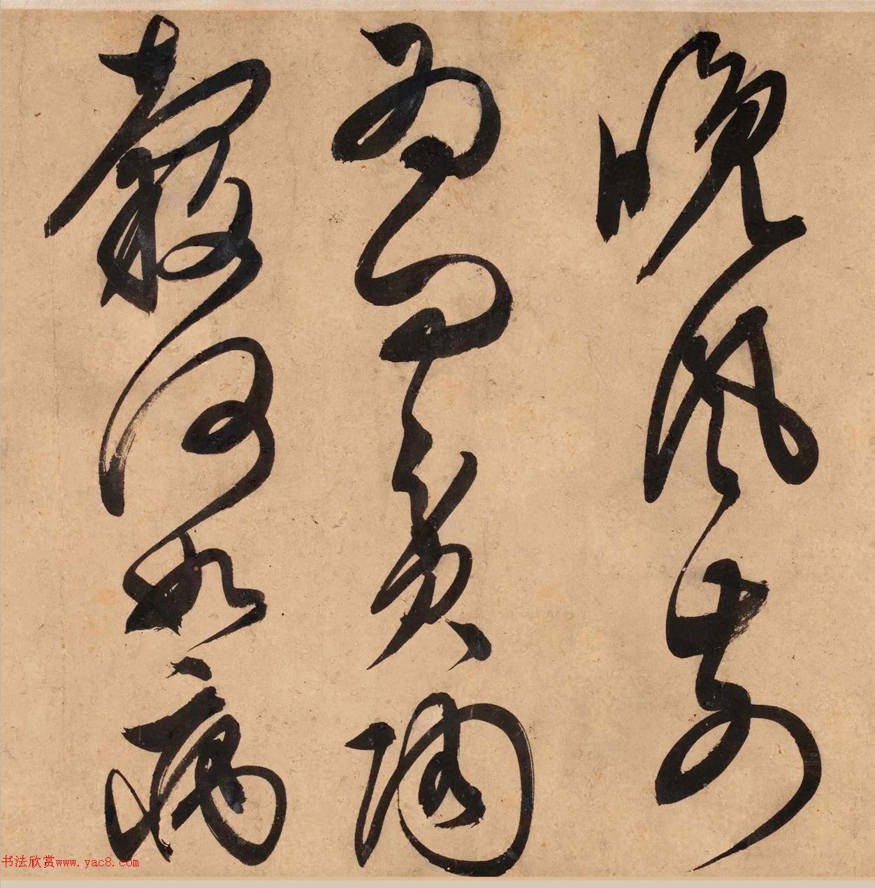 顶Ծơ顢衷׾