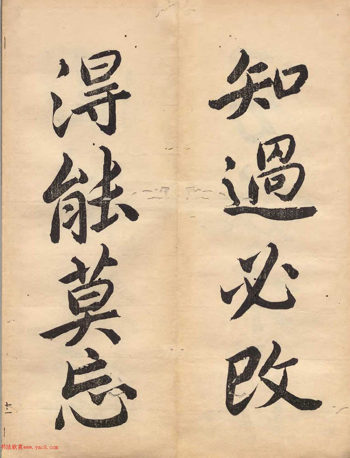 ձɽǧĲ