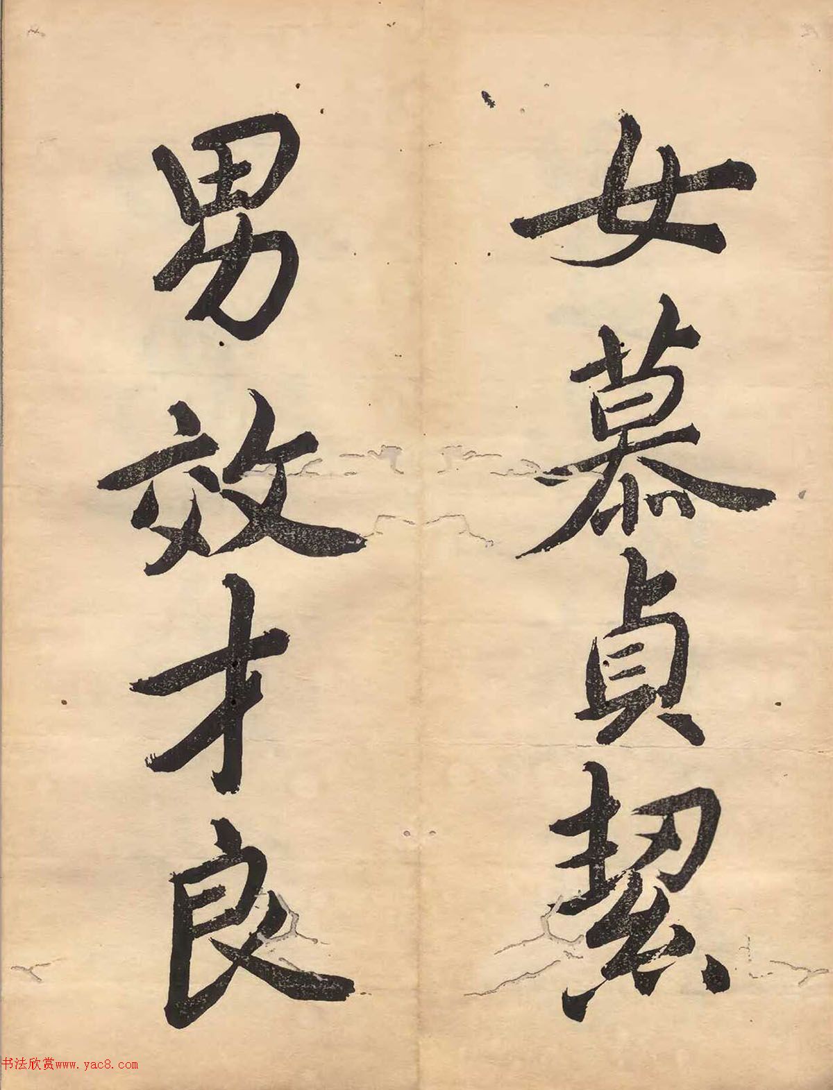 ձɽǧĲ