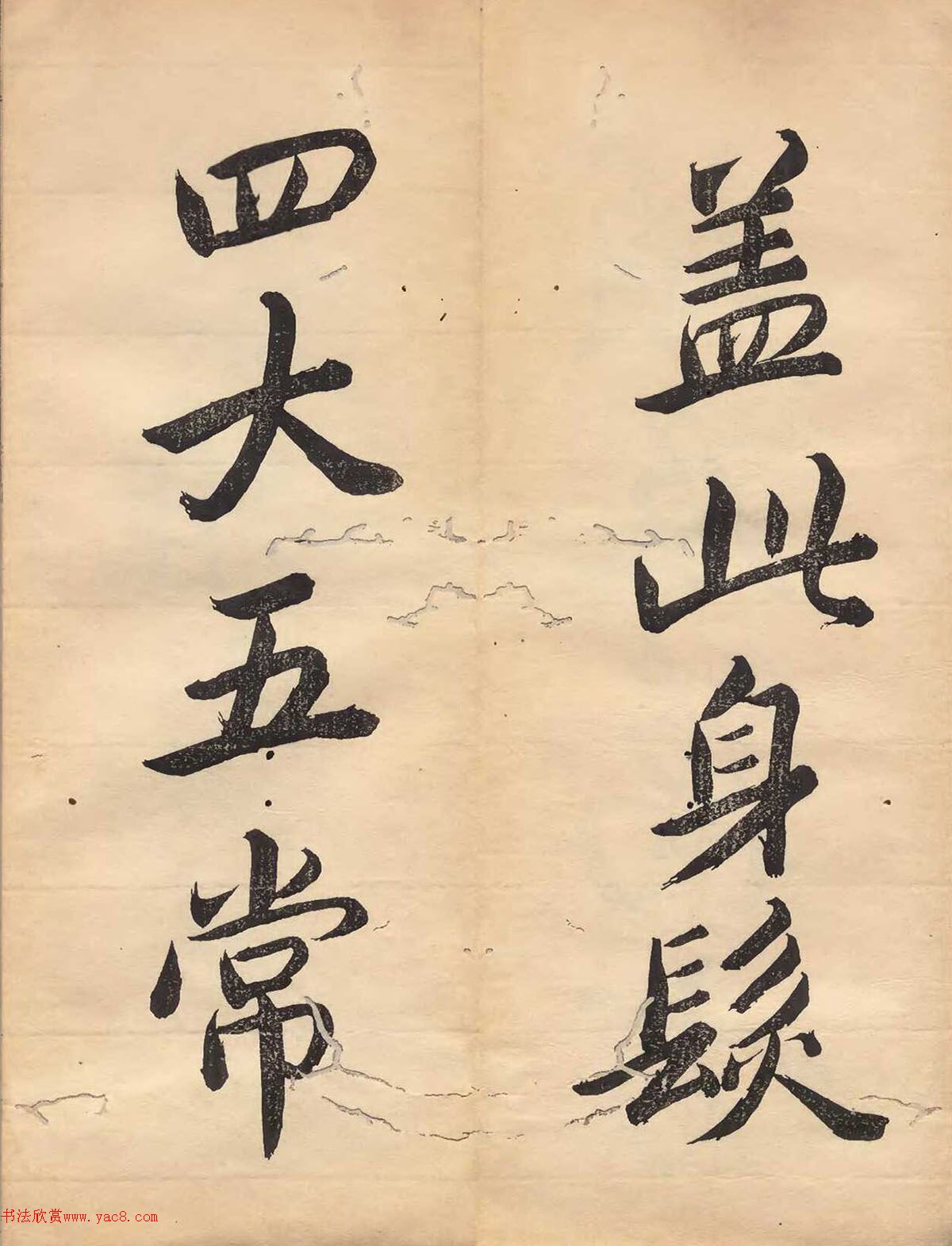 ձɽǧĲ