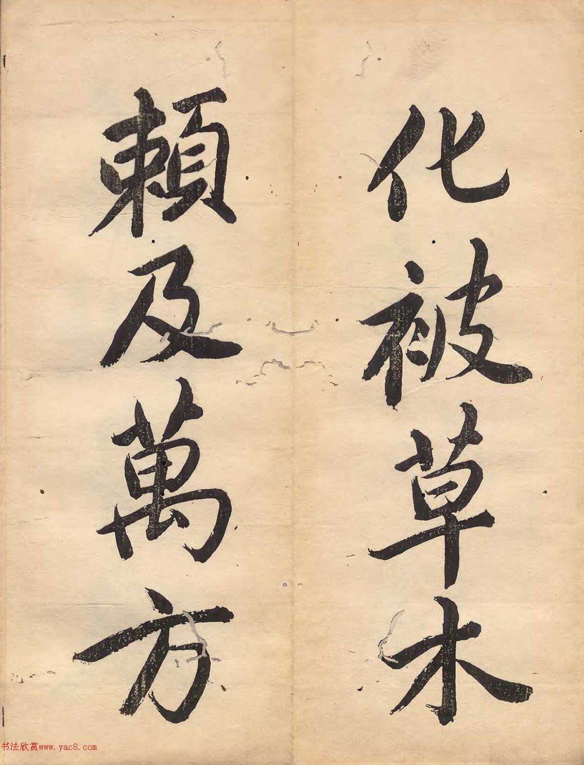 ձɽǧĲ