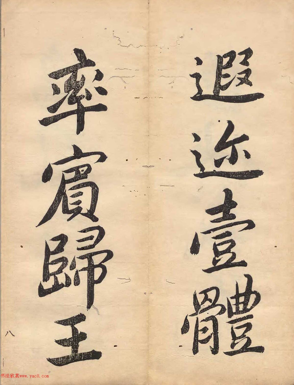 ձɽǧĲ
