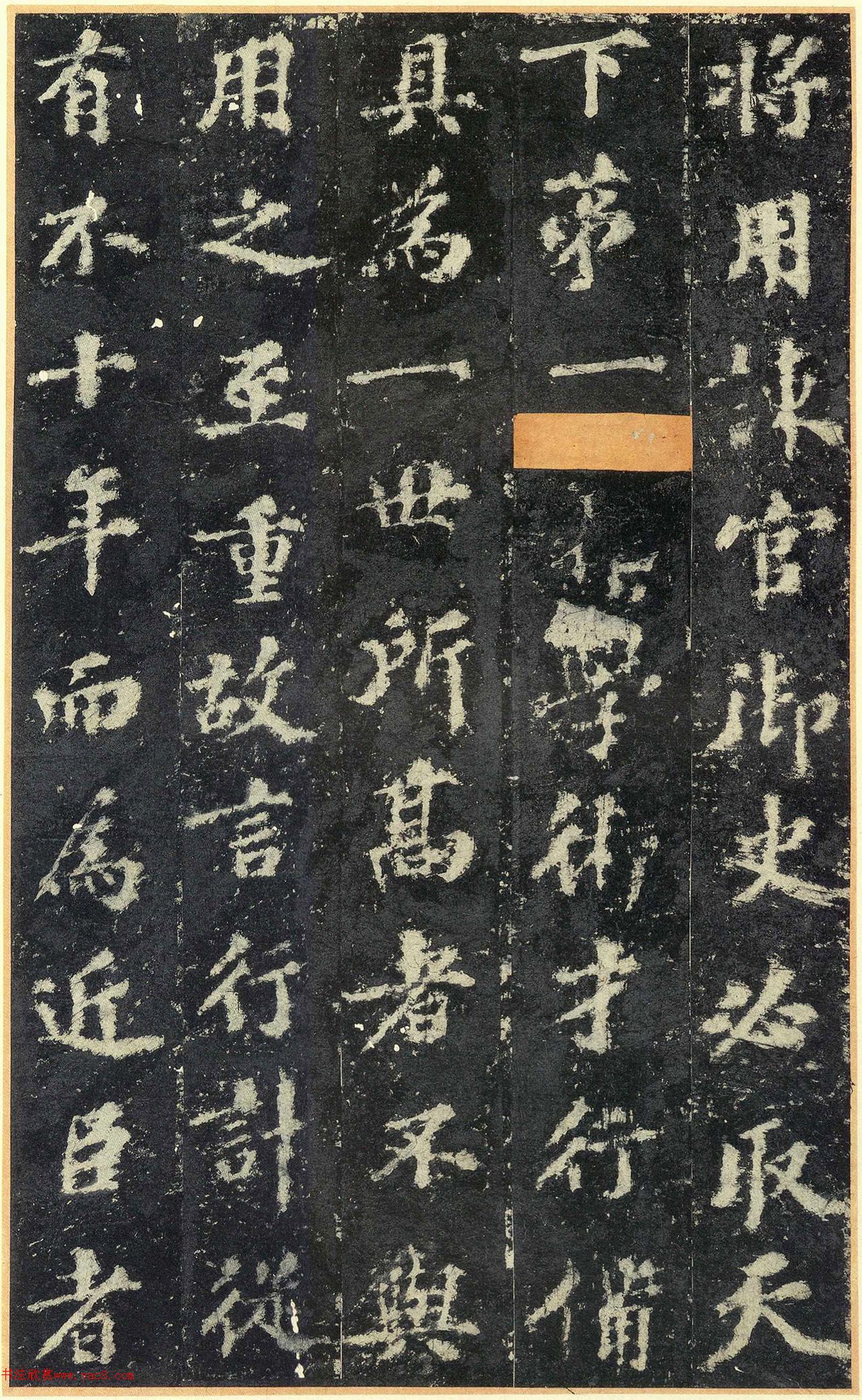 鷨ر׹