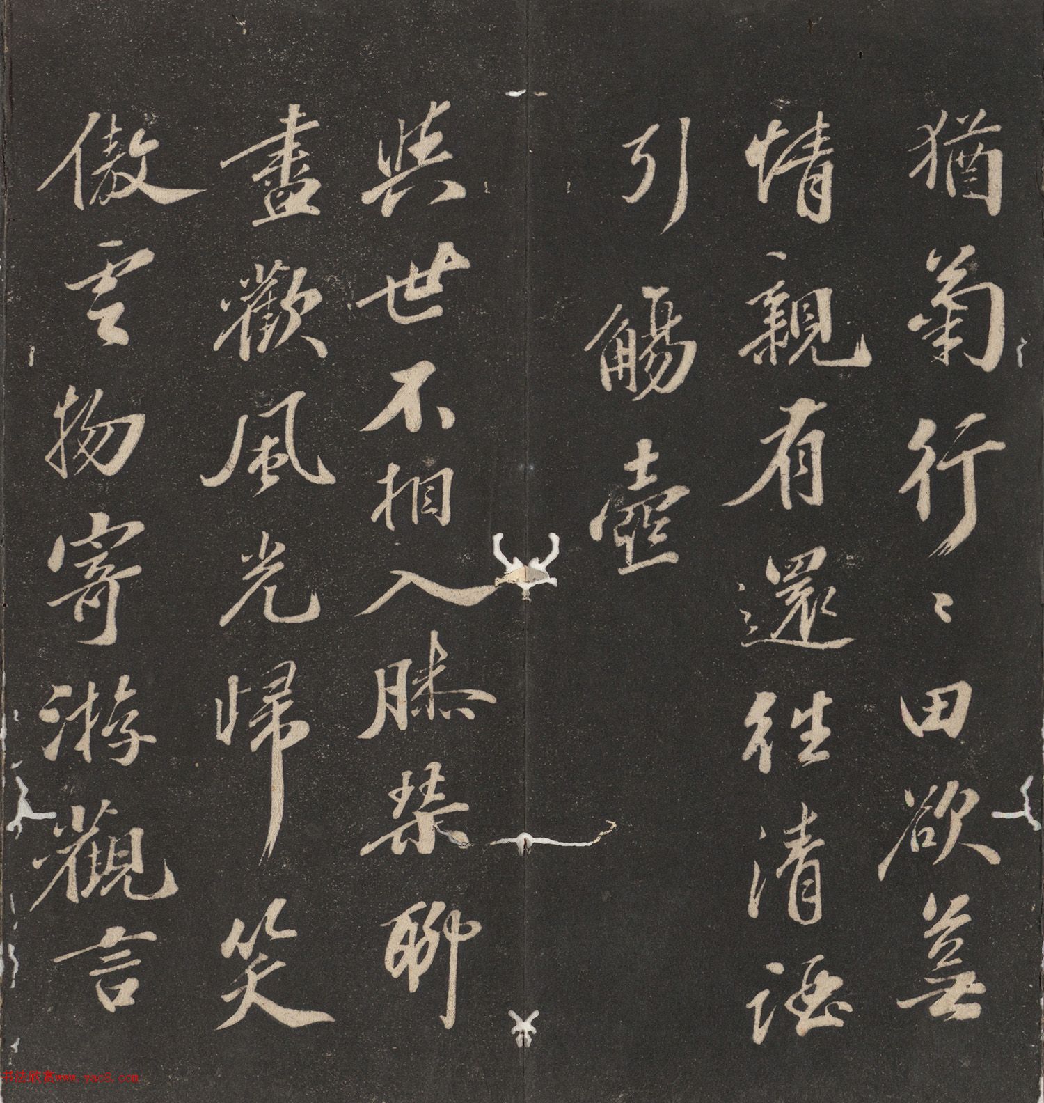 鷨ȥʫױ