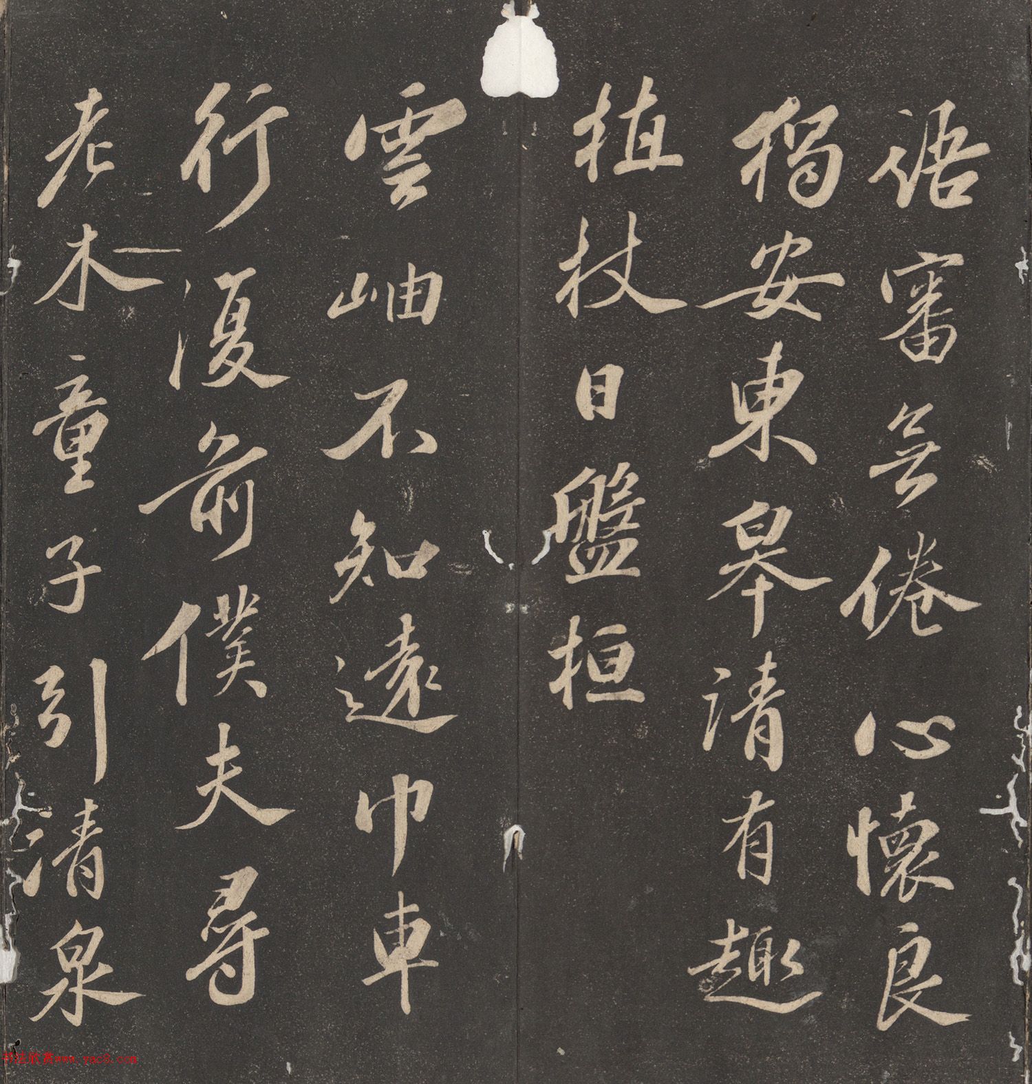 鷨ȥʫױ