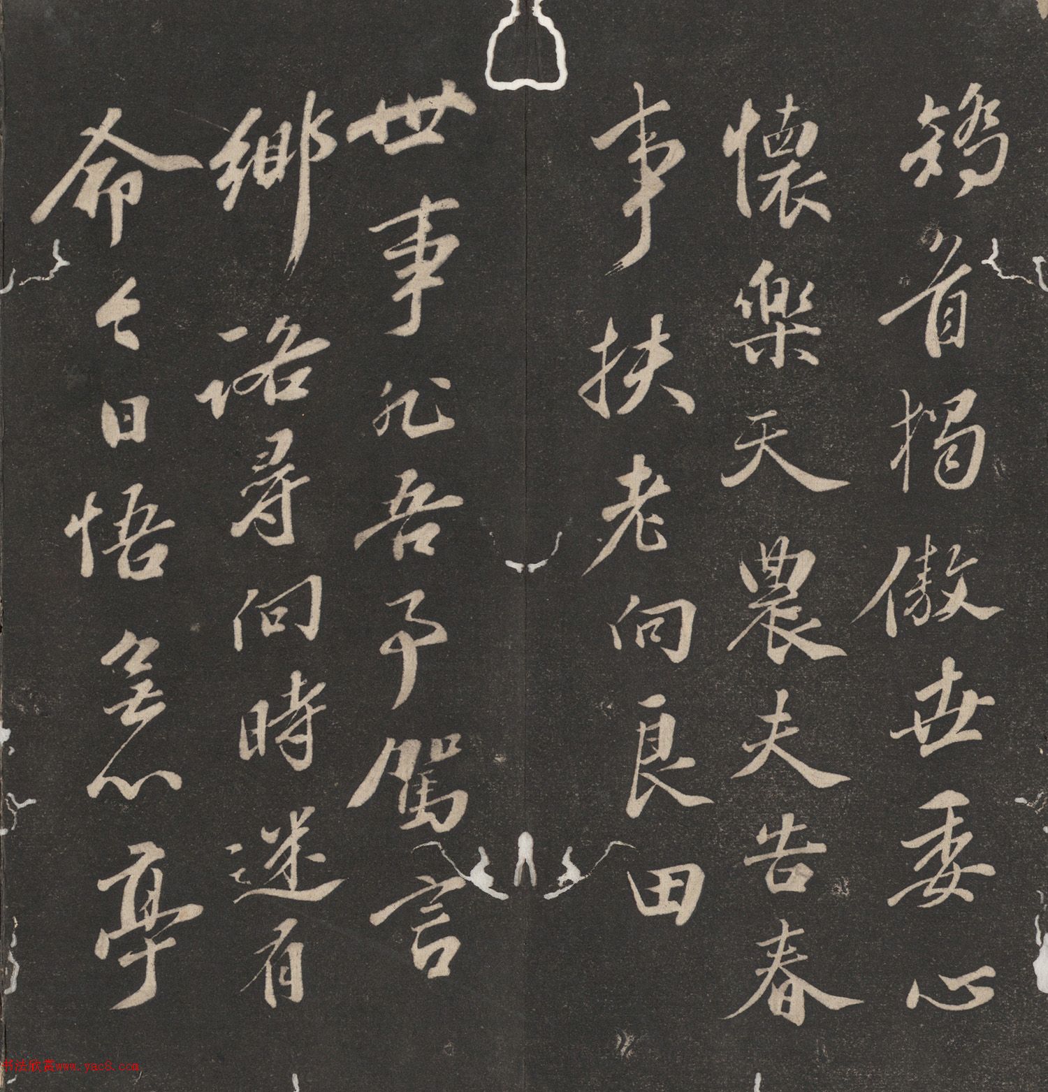 鷨ȥʫױ
