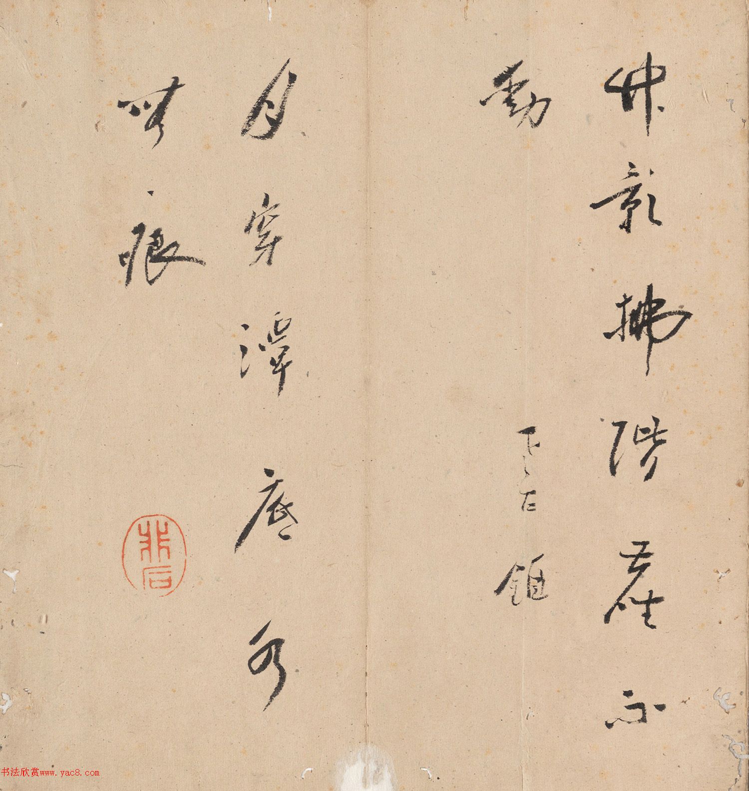 鷨ȥʫױ