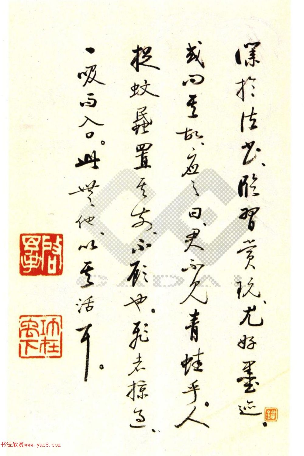 顶ǡ