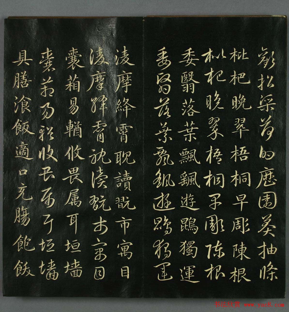 Ӱ鷨ǧġ屾