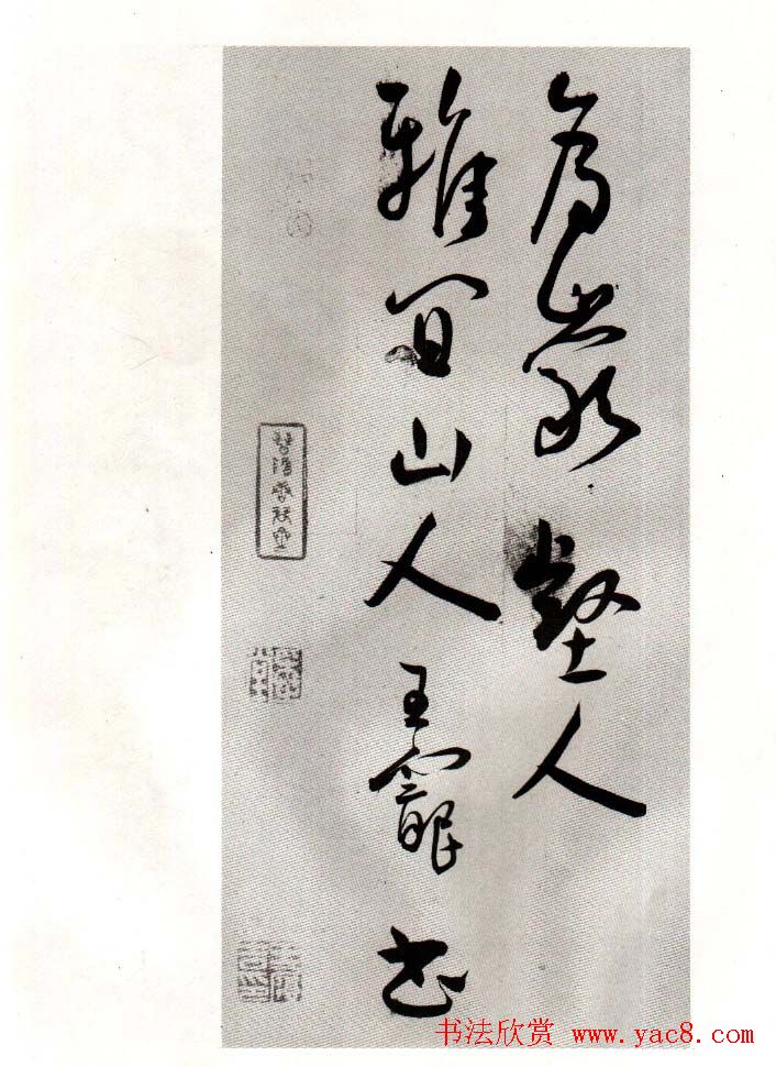 鷨顶ļ顷