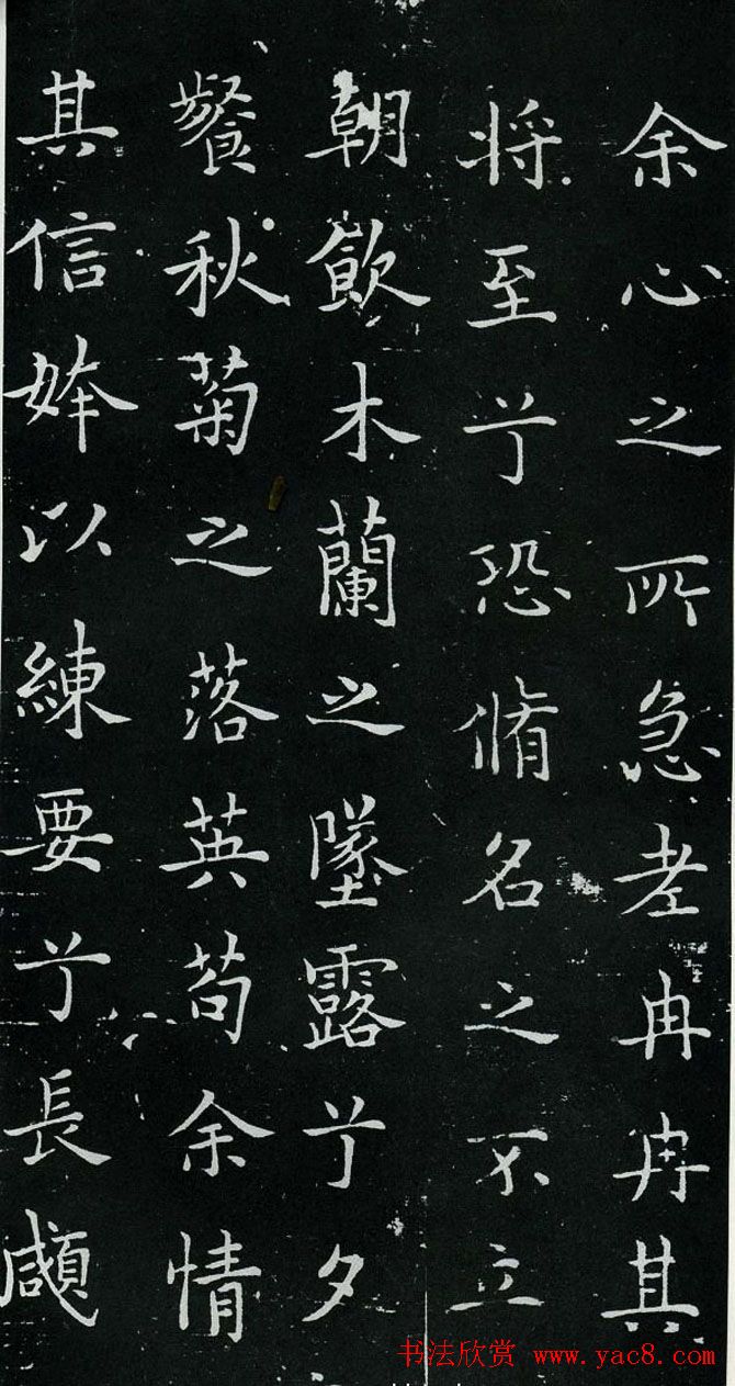 ŷ鷨ŷѯɧ
