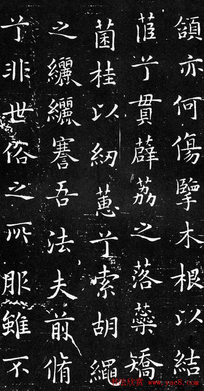 ŷ鷨ŷѯɧ