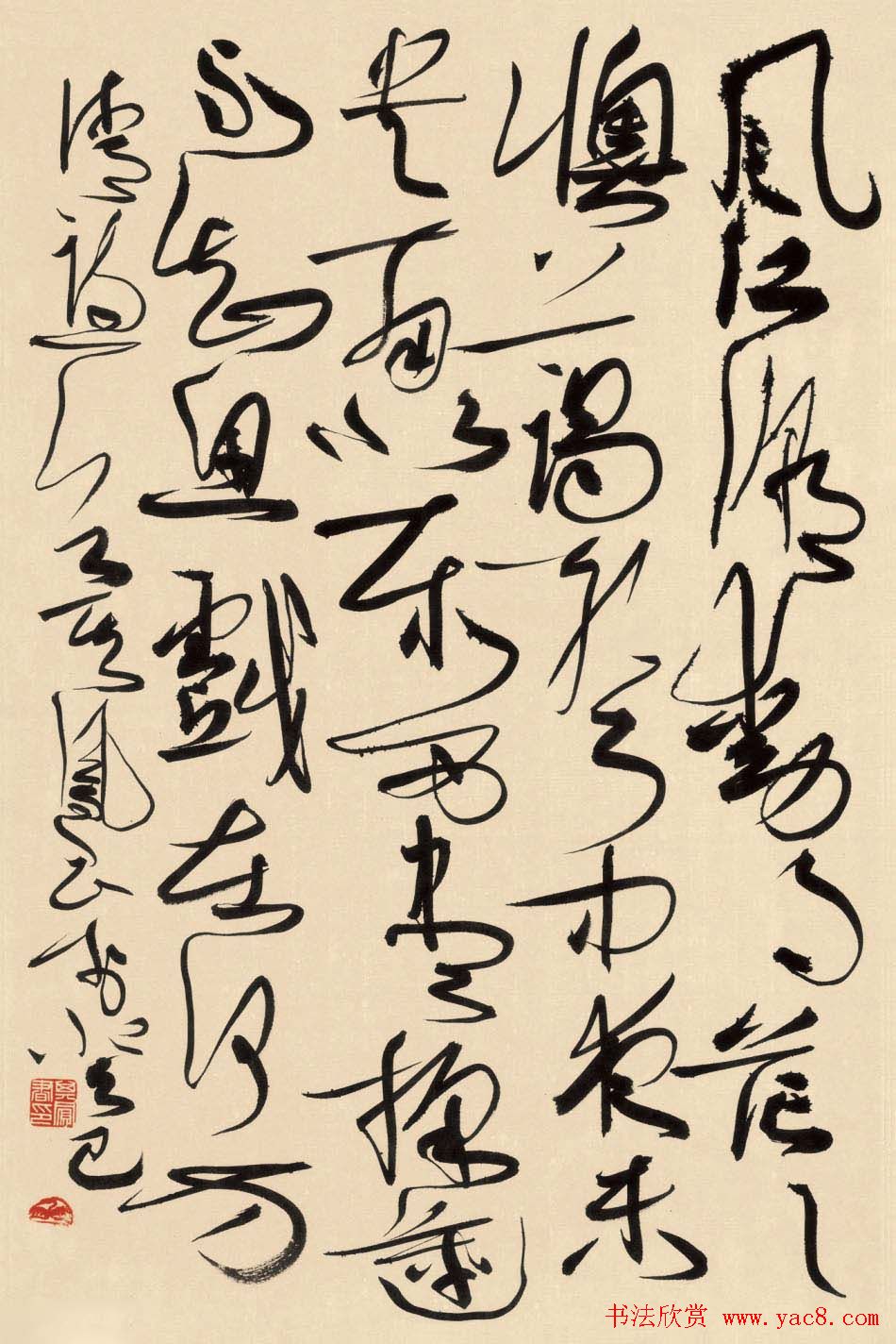 ë鷨Ʒ