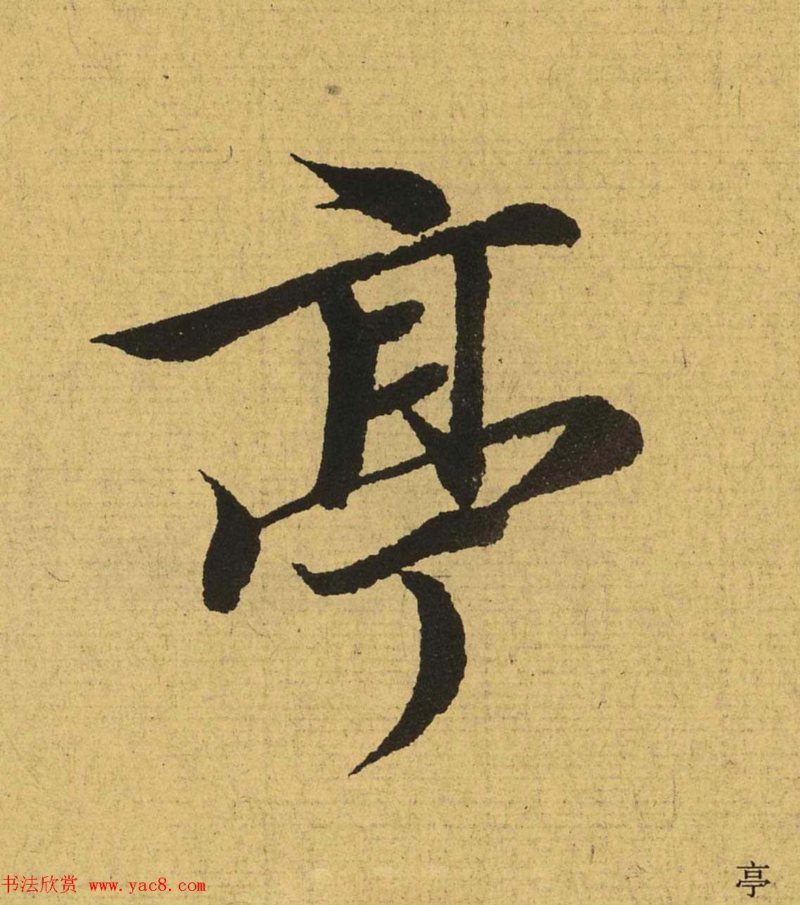 ֮ͤȫĵָŴ