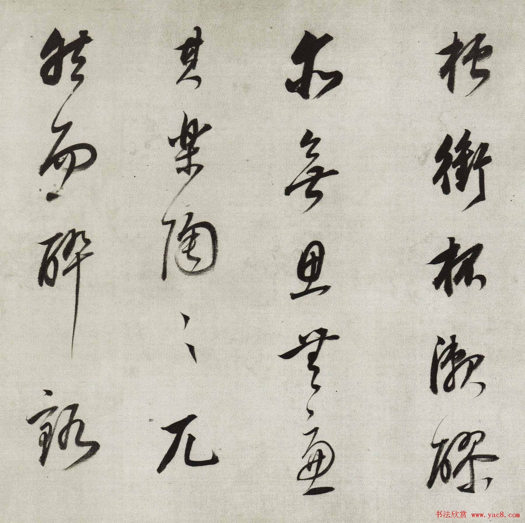 в鷨Ƶ̡