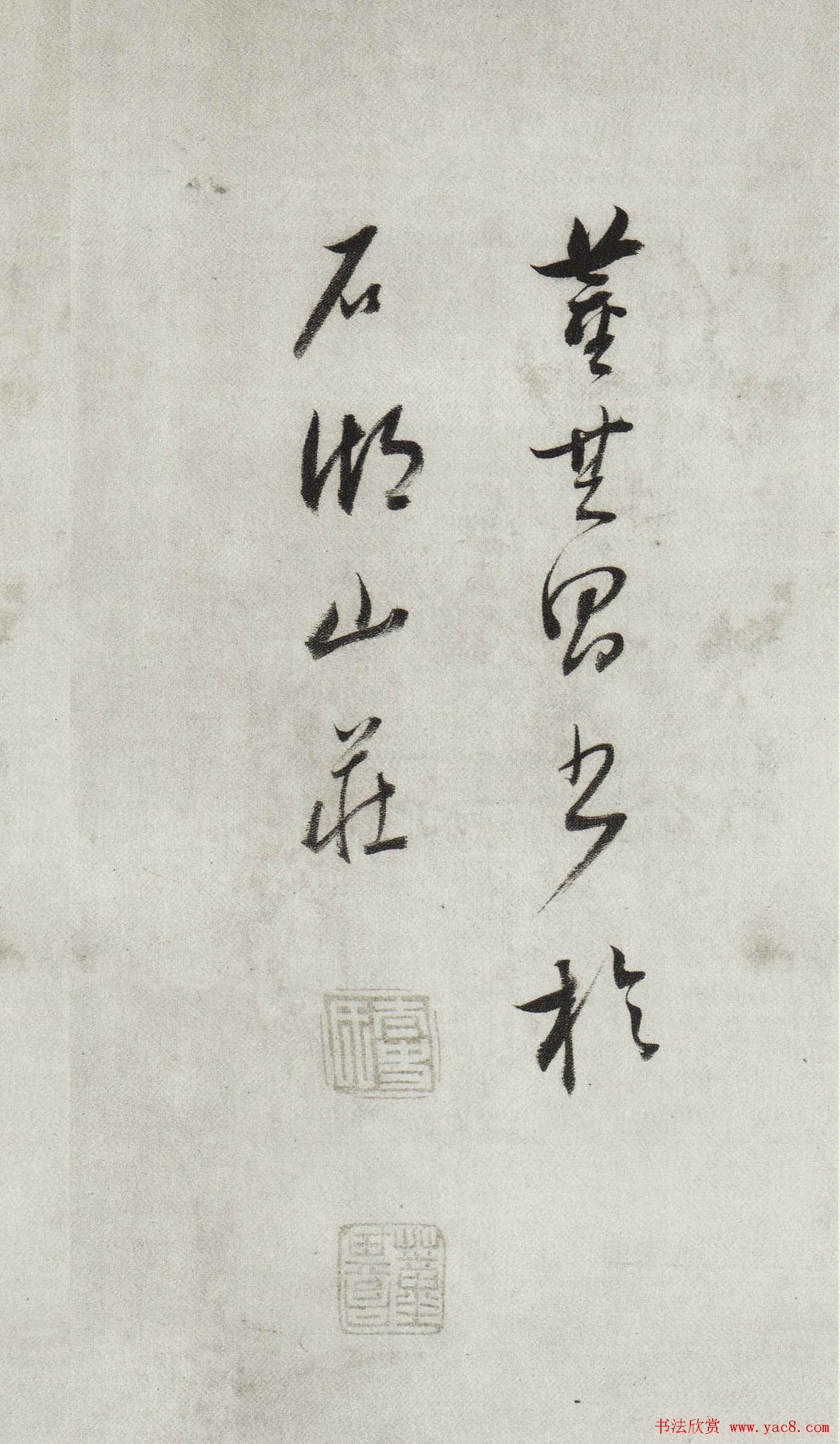 в鷨Ƶ̡