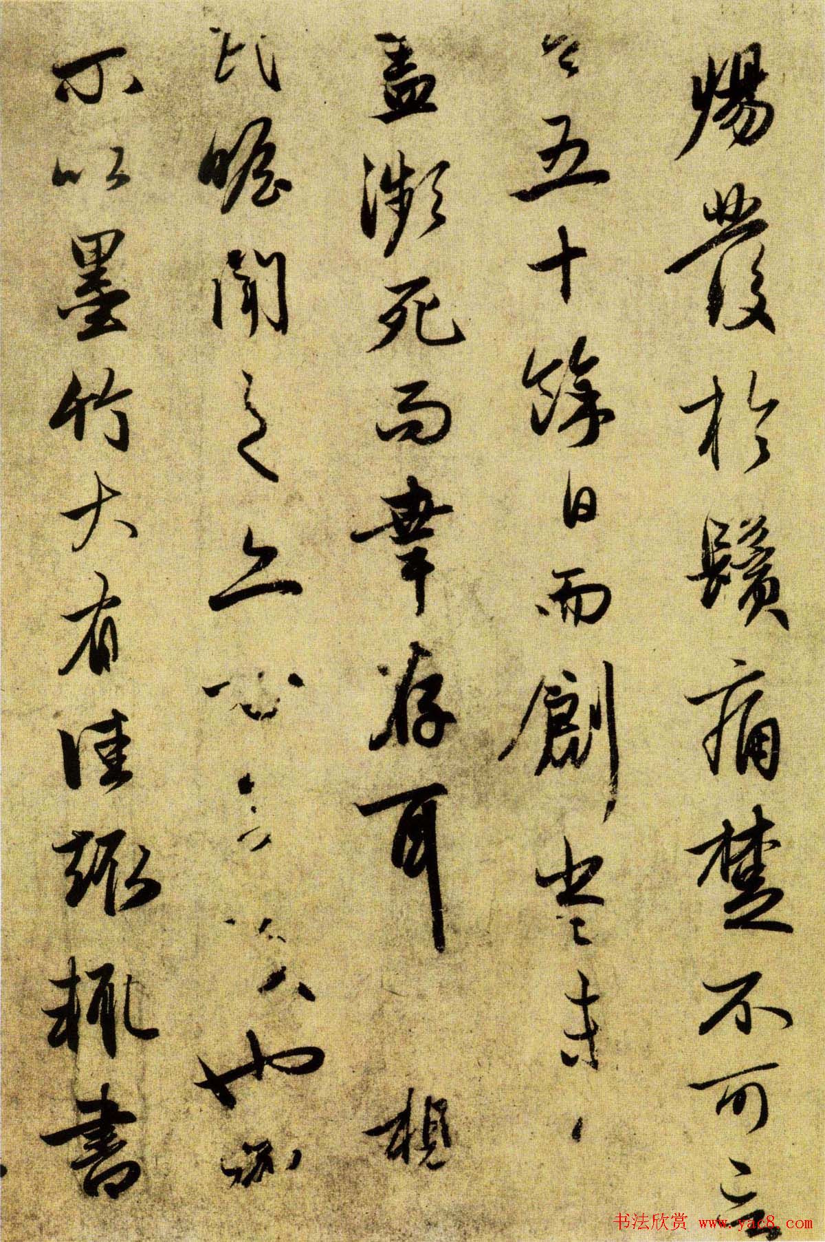 \鷨빡ʮװ