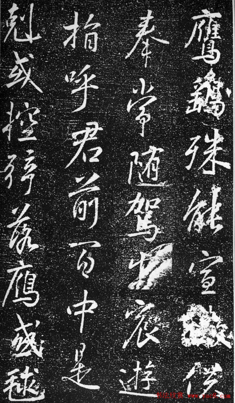 ģ顶